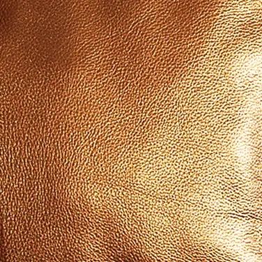 Buca Crossbody Bronze Pearl