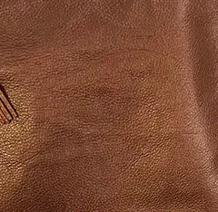 Buca Crossbody Bronze