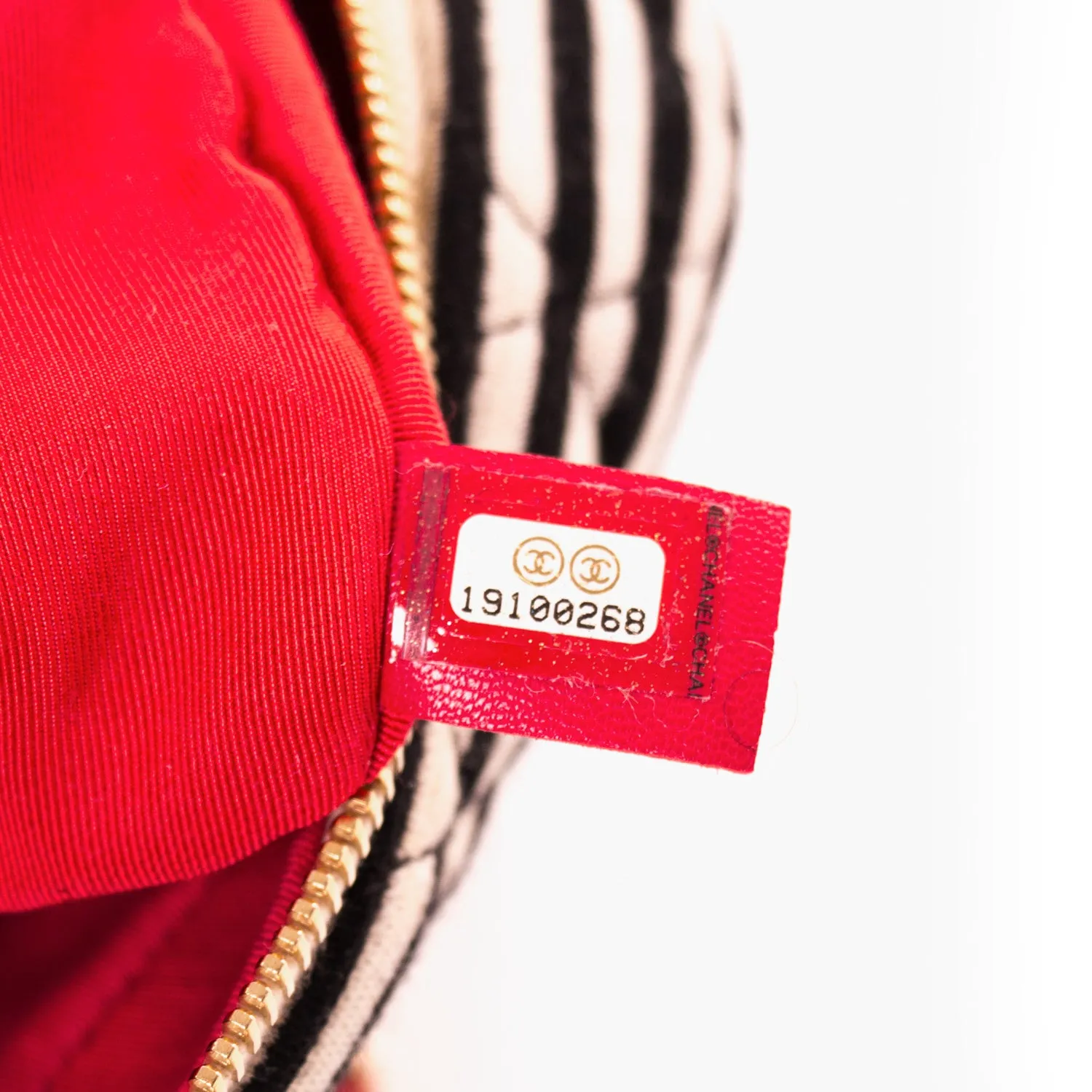 Chanel Fabric Camera Canvas Shoulder Bag