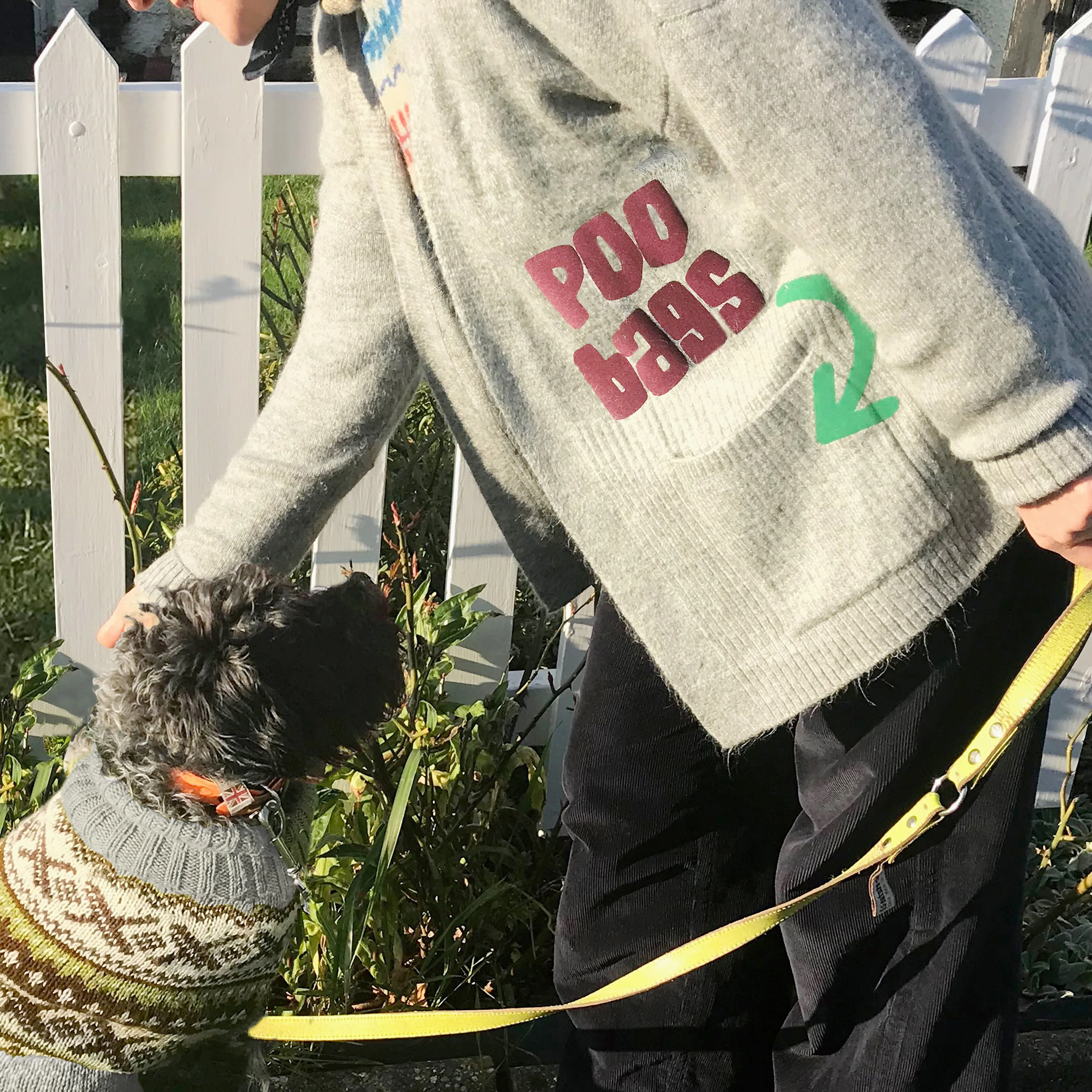 Dog Treat Cardie