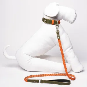 Green & Orange Braid Leash