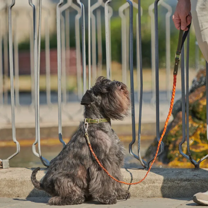 Green & Orange Braid Leash