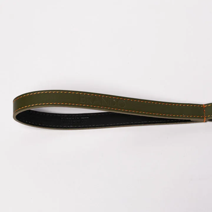Green & Orange Braid Leash