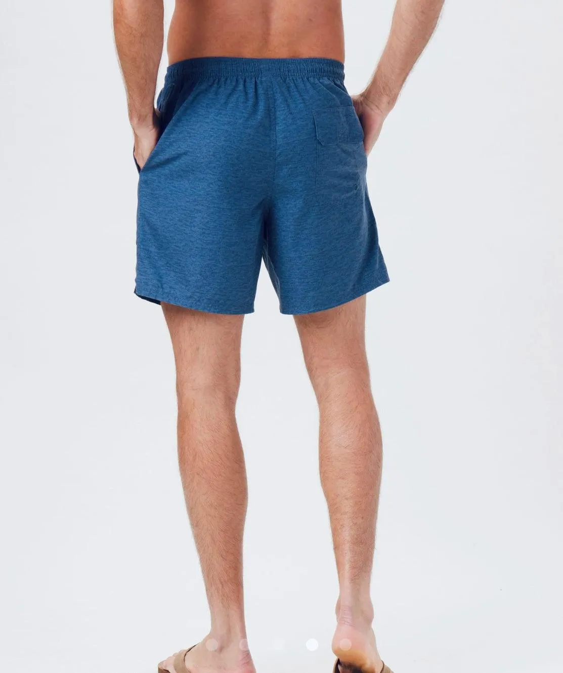 Hybrid Short