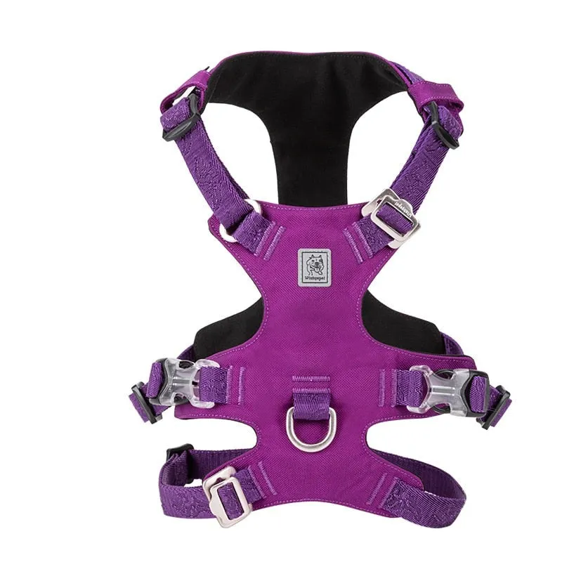 No Pull Dog Nylon Harness