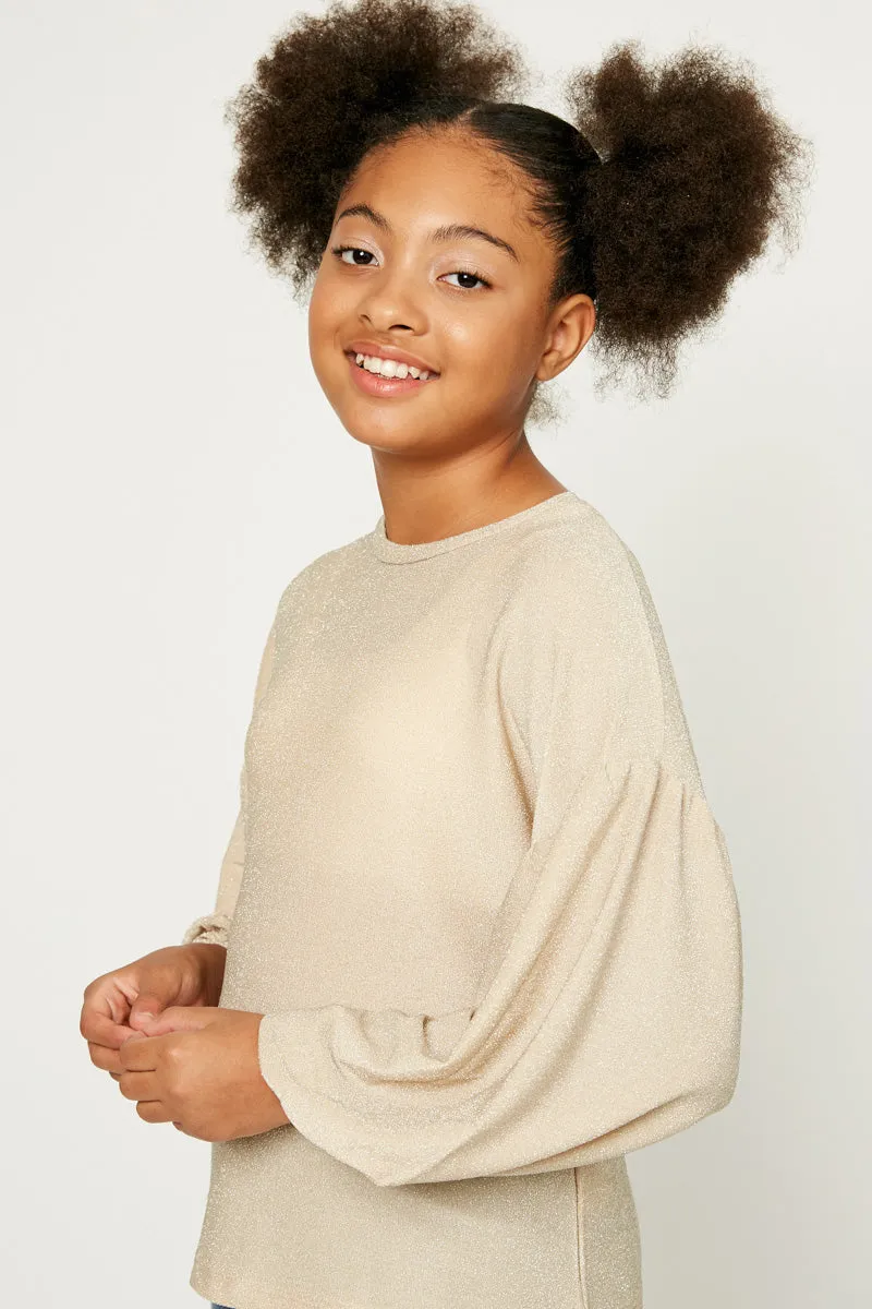 Sparkly Puff Long Sleeve Top
