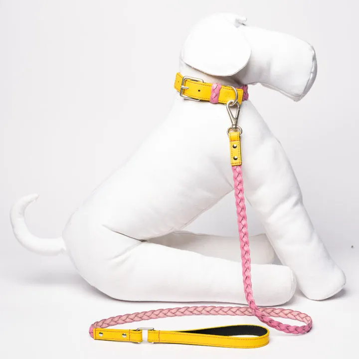 Yellow & Pink Braid Leash