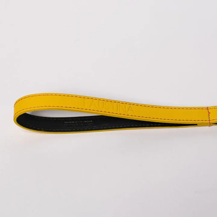 Yellow & Pink Braid Leash